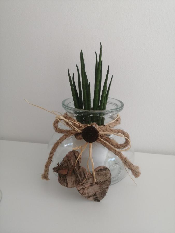 Apartma Pinea Portorož Eksteriør billede
